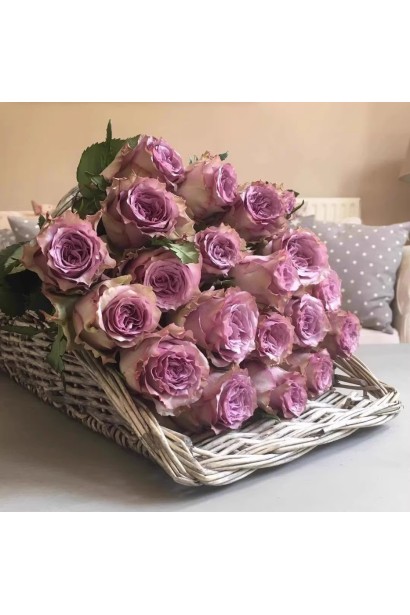 Троянда чайно-гібридна ’Дольчетто’ в букеті